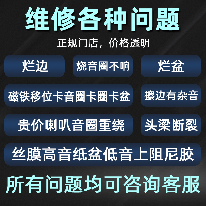 喇叭单元维修高音中音低音破音烂边汽车喇叭维修换边专业KTV音箱6-图2