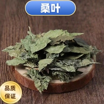 Mulberry leaf Chinese herbal medicine handmade screening clean no impurities can be soaked in water 500 gr