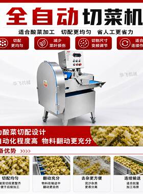 定制泡菜辣白菜加工流水线 芥菜榨菜气泡脱盐清洗机 酱腌菜切丝机