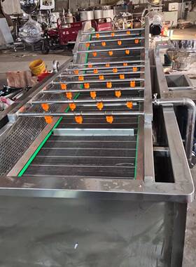 星科供应4米数控气泡清洗机 净菜处理清洗设备 全自动葡萄清洗机