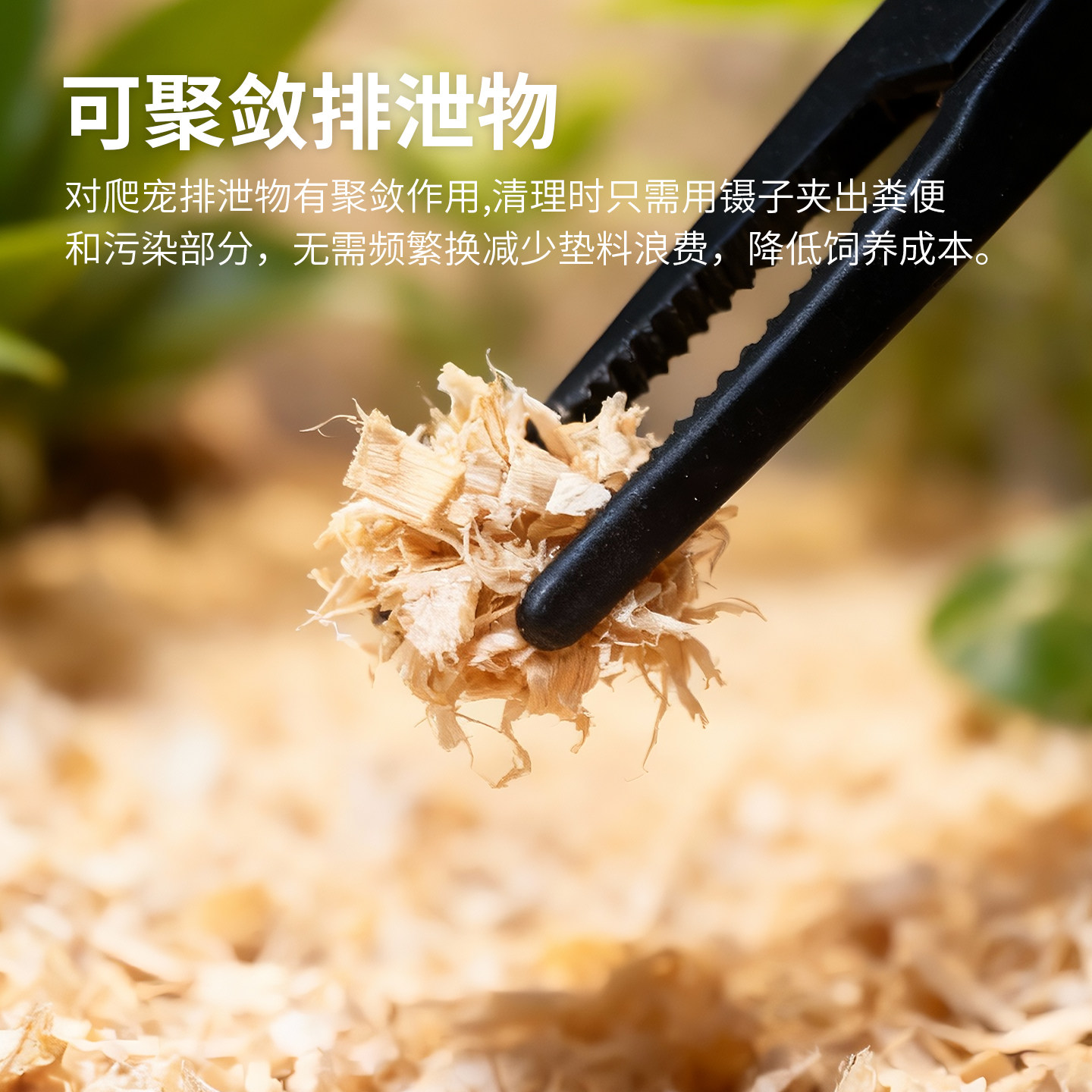 爬宠宠物蛇专用垫料白杨木屑家养蛇类饲养箱垫材柔软玉蛇木屑除臭,淘宝优惠券,粉丝福利购,淘宝优惠卷