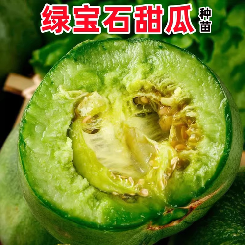 绿宝石甜瓜苗秧苗羊角蜜超甜酥脆香瓜种籽苗四季盆栽阳台瓜秧菜苗 - 图1