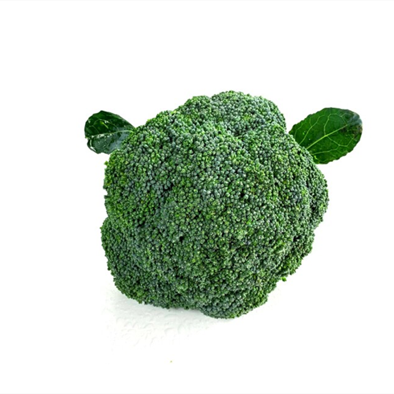 耐寒西兰花苗秧早熟青花苗种籽子优秀西蓝花幼苗秋冬季盆栽蔬菜苗,淘宝优惠券,粉丝福利购,淘宝优惠卷