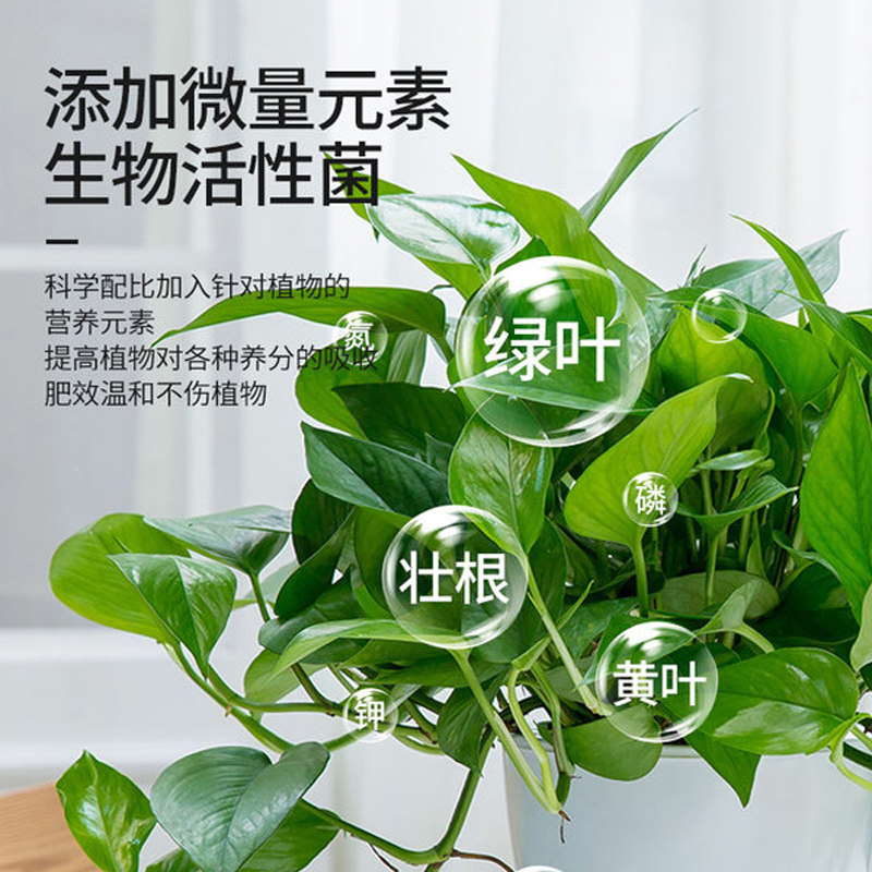 营养液植物通用型多肉富贵竹发财树绿萝水培盆栽家用花卉养花肥料,淘宝优惠券,粉丝福利购,淘宝优惠卷
