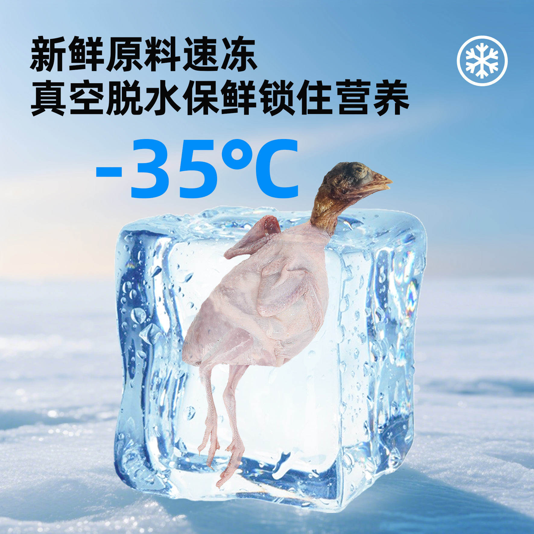 宠物零食猫咪零食鹌鹑冻干整只狗狗成猫幼猫磨牙肉干猫粮营养狗粮,淘宝优惠券,粉丝福利购,淘宝优惠卷