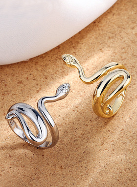 2023 Fashion Trend Jewelry Rings Silver Plated Rings