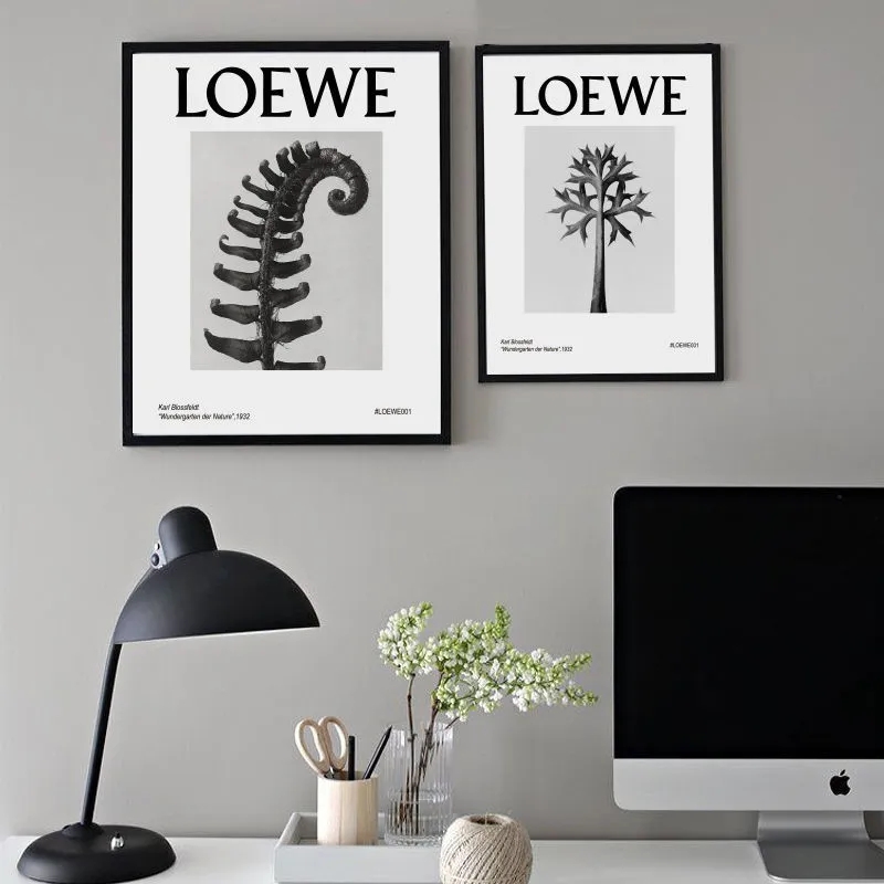 LOEWE2ins装饰画北欧客厅画餐厅服装店落地画玄关卧室小众挂画-图1