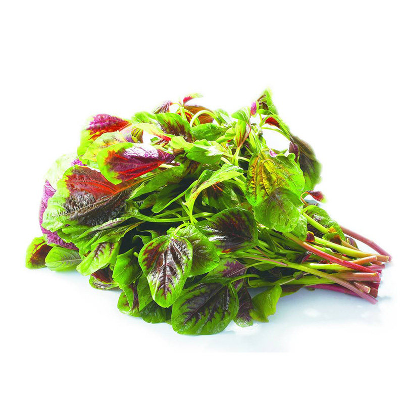 花红苋菜种子农田菜园栽培柳叶红苋菜白苋籽好管理晚抽苔 菜菜芽旗舰店 淘优券