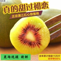 The Ebrow Sichuan Red Heart Exotic Fruits Selected Extra-fruit Fresh to Season Fruit 5 Catty of Non-Green Heart