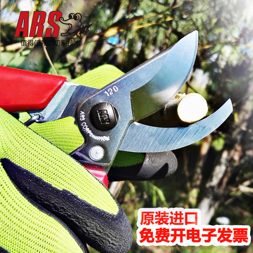 爱丽斯日本原装进口120DX果树修枝剪FB-8家用修花木树枝专用剪刀 - 图1