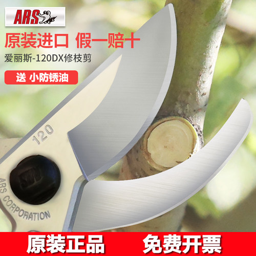 爱丽斯日本原装进口120DX果树修枝剪FB-8家用修花木树枝专用剪刀 - 图0
