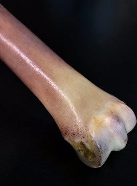 手把天然保真驼骨扳指牌子雕刻件