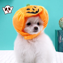 Pet Kitty Pooch Pumpkins Hat Wan Holy Ghost Festival Clothing Accessories Small Middle Large Canine Teddy Fou Supplies