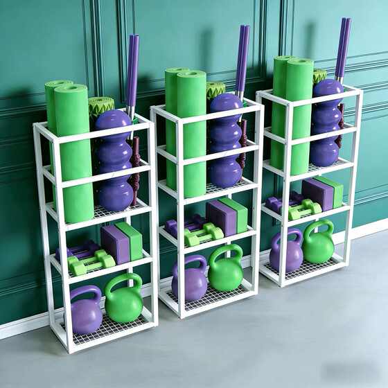 Multi-layer home indoor fitness equipment storage rack