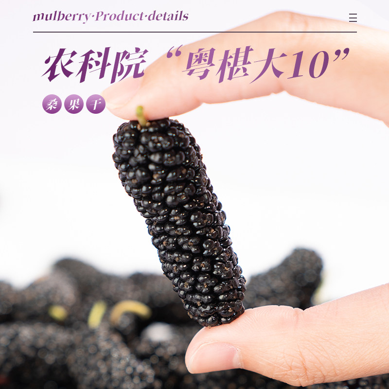  桑加1滋补养生饮