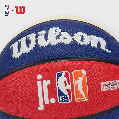Wilson威尔胜5号儿童篮球NBA小学生幼儿园专用4号正品比赛训练球 - 图1