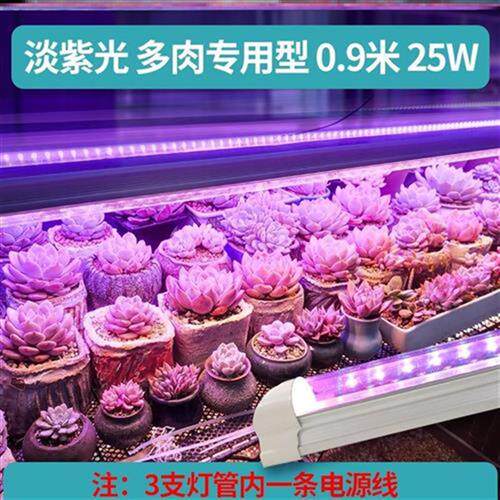 照射灯具植物灯带12v仿太阳花园花卉灯多肉补光灯r盆栽大棚led养 帅帅百货工厂店1 淘优券