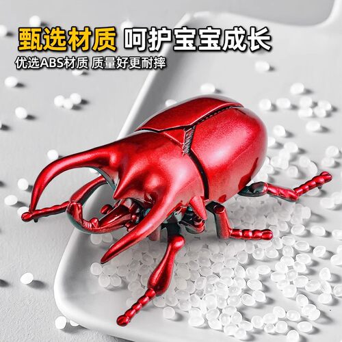 发条昆虫儿童爬行知了玩具模型蝉仿真金龟子上链条甲壳虫七星瓢虫 - 图3