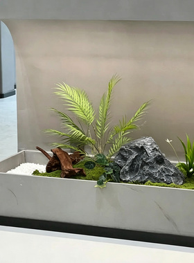 中式枯山水造景长条书房茶室禅意创意仿真植物青苔苔藓过道微景观