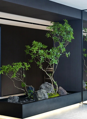 植谜造物仿真树大型马醉木造景室内植物景观酒店办公室会所软装