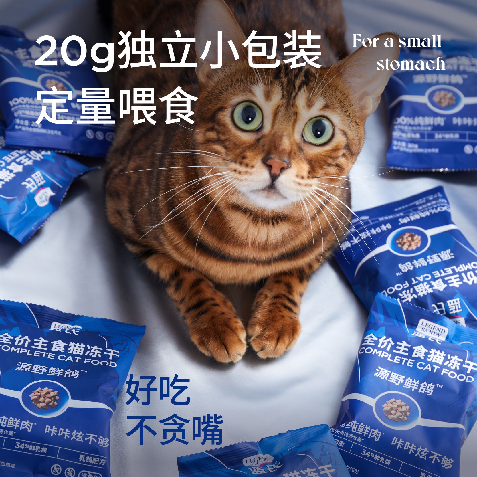 蓝氏主食冻干猫粮乳鸽猎鸟猎兔冻干全价猫粮生骨肉长肉发腮成猫 - 图2