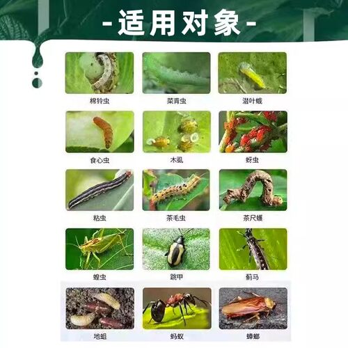 蜗螺净庭院蜗牛鼻涕虫果树蛞蝓福寿螺蔬菜农田增效助剂花卉通用型 - 图2
