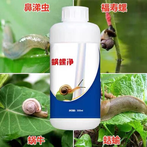 蜗螺净庭院蜗牛鼻涕虫果树蛞蝓福寿螺蔬菜农田增效助剂花卉通用型 - 图0