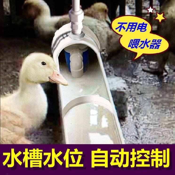 自動給水器飲水器 新人首單立減十元 22年3月 淘寶海外
