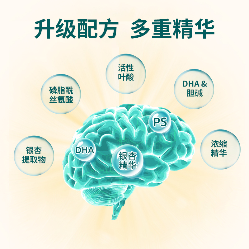 银杏叶提取物脑活素磷脂酰丝氨酸dha大脑记忆力补脑胶囊精华脑力-图1