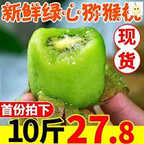 Shaanxi Chishifruit Fresh 10 catties When season fruit chic exotic fruit Peach Whole Box Pregnant Woman Green Heart Mud Monkey Peach