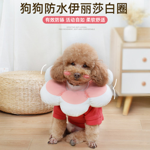 伊丽莎白圈狗伊利沙白中型犬狗狗项圈夏季防咬防舔软脖套头套神器 - 图2
