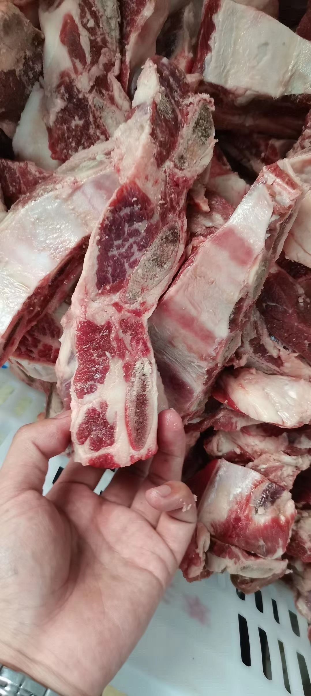 秒发包邮10斤澳洲m5和牛谷饲牛排骨 浦本生鲜牛排