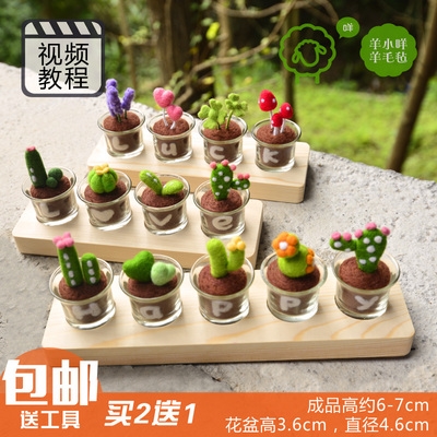 买多肉植物 新人首单立减十元 21年8月 淘宝海外