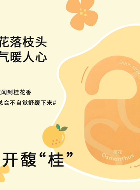 StayGold桂花花香系列香薰片衣柜车载玄关持久留香车载摆件挂件