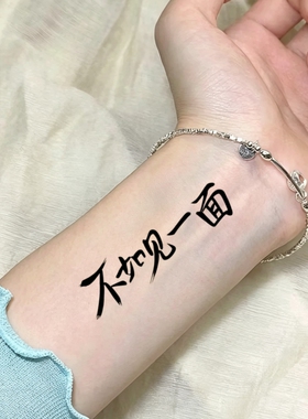海来阿木纹身贴 不如见一面演唱会粉丝妆容脸贴纸 明星周边防水