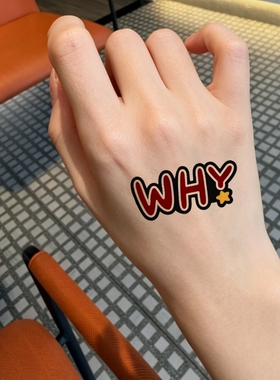 王赫野演唱会纹身贴 WINDY粉丝福星妆容脸贴纸 明星周边防水贴纸