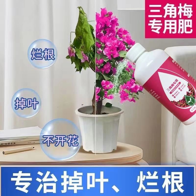 三角梅营养液专用催花养花通用型梅花盆栽家用花卉促开花液促开花,淘宝优惠券,粉丝福利购,淘宝优惠卷