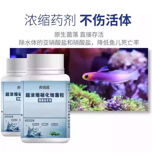 硝化细菌鱼缸专用水质净化稳定剂高浓度硝化菌净化水质空气缸鱼池 - 图1