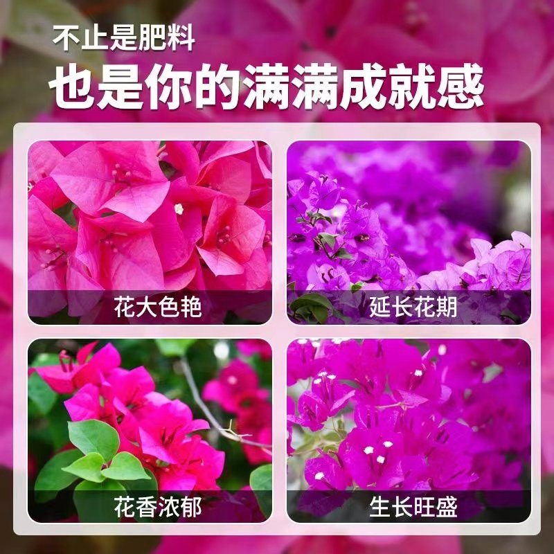 三角梅营养液专用催花养花通用型梅花盆栽家用花卉促开花液促开花,淘宝优惠券,粉丝福利购,淘宝优惠卷