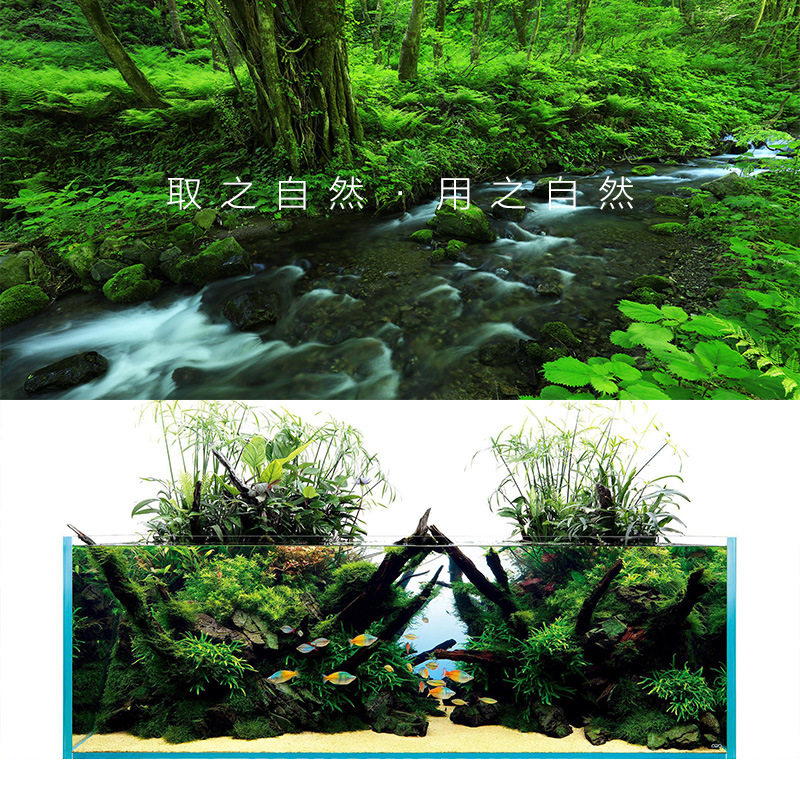 南美缸鱼缸底砂造景沙装饰原生底沙石头溪流石雨林三湖沙铁胆沙子,淘宝优惠券,粉丝福利购,淘宝优惠卷