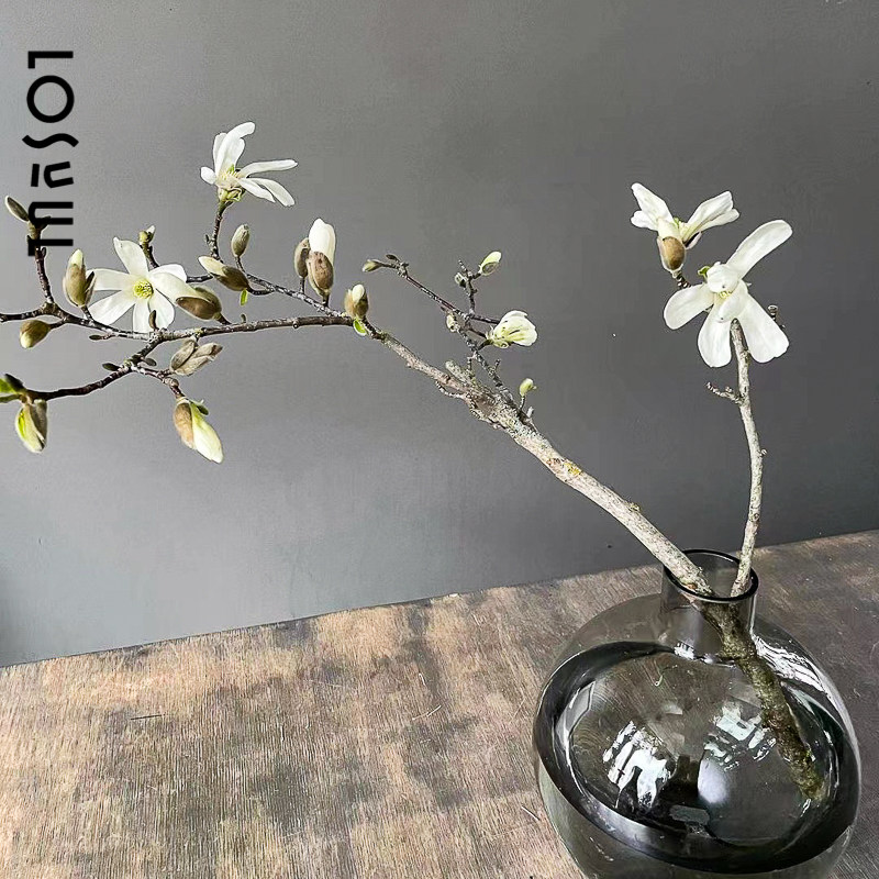 白紫玉兰花野奢鲜花鲜切枝条小众水培桌面家用插花年宵花新年装饰,淘宝优惠券,粉丝福利购,淘宝优惠卷