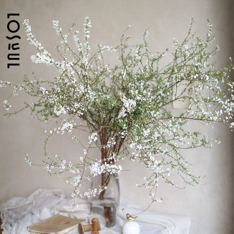 小手球A级雪柳鲜花带花苞鲜枝新年装饰家用插花花期长重瓣单瓣,淘宝优惠券,粉丝福利购,淘宝优惠卷