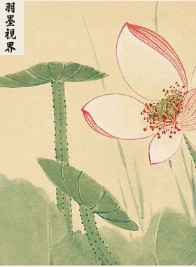 高清复刻张大千荷花图国画工笔花