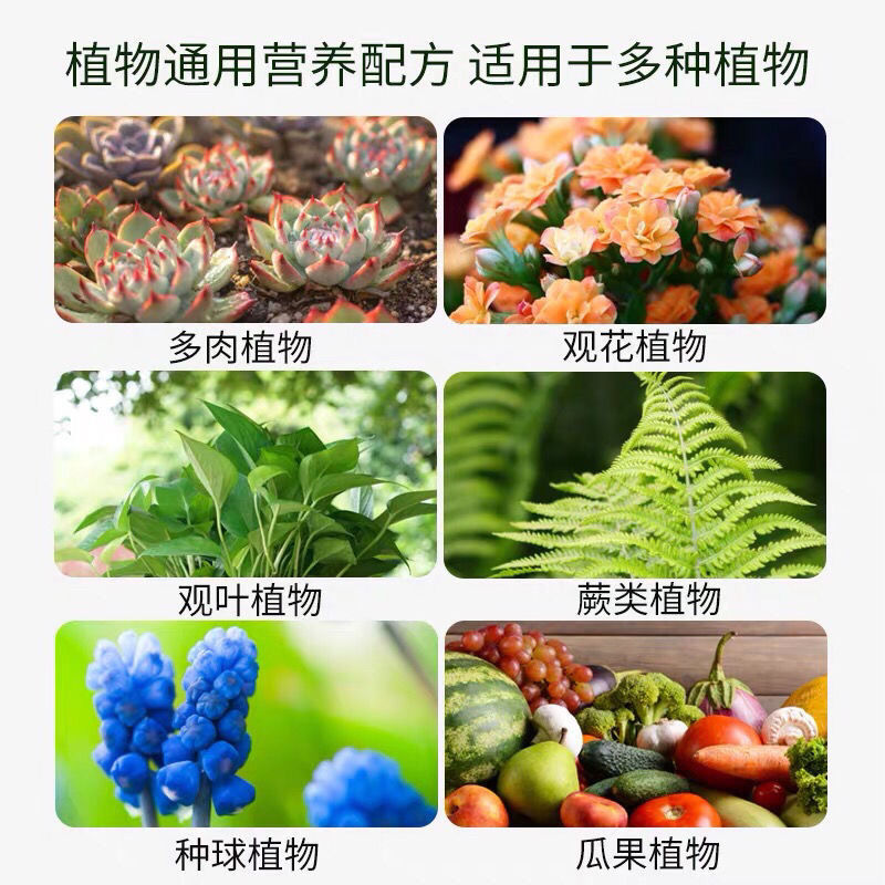 复合肥尿素磷肥钾肥花肥料花卉植物盆栽蔬菜果树化肥通用型有机肥 - 图1