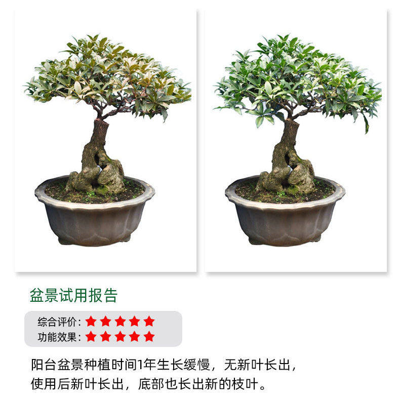 花肥料复合肥化肥家用蔬菜果树盆栽花卉通用型氮磷钾肥有机复合肥 肥料厂家店植物用品店 淘优券