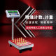 Ballance floor-standing electronic scale high-precision floor scale