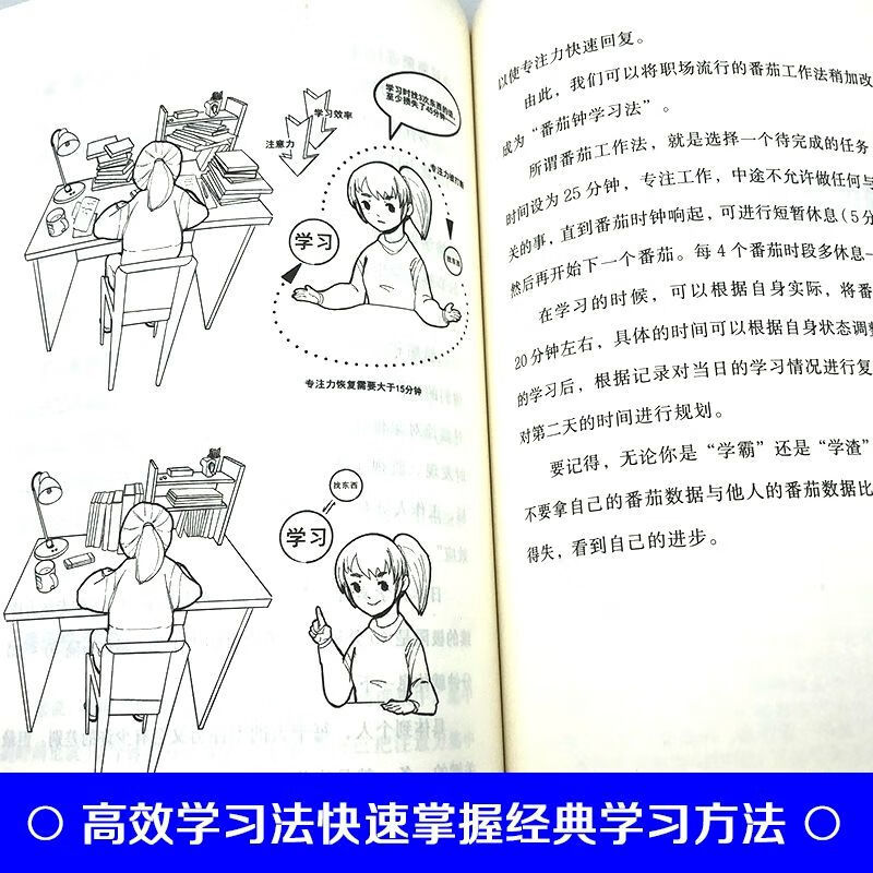 正版漫画高效学习法记给孩子的第一本学习方法书书籍方法全集学习高手学霸笔如何高效学习这样学习才高效海北老师30天成为三十天-图2