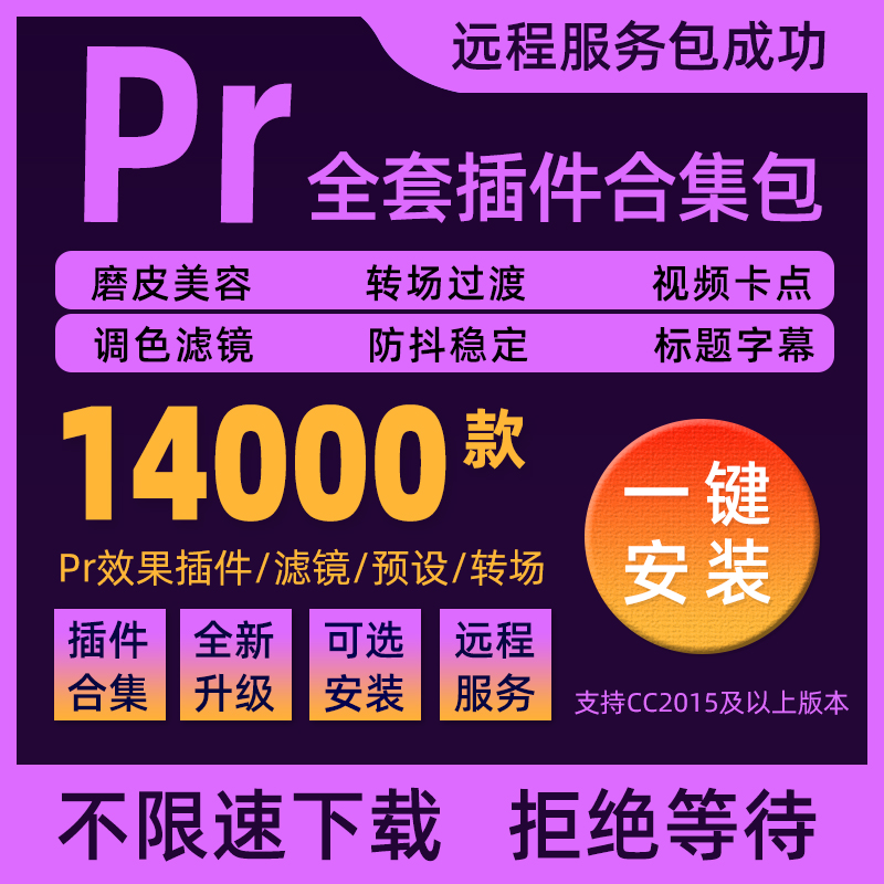 Pr插件合集全套软件安装包磨皮转场特效调色预设字幕中文MAC2024 - 图2