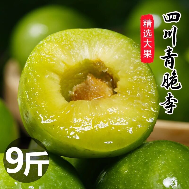 正宗四川脱骨红脆李子青土李子新鲜水果当季茵红李蜂糖汶川旗舰店,淘宝优惠券,粉丝福利购,淘宝优惠卷
