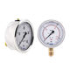 Sufa Wei Nai gauge IKA pressure WE87-1 shock stainless steel pressure measuring hydraulic gauge vacuum axial gauge